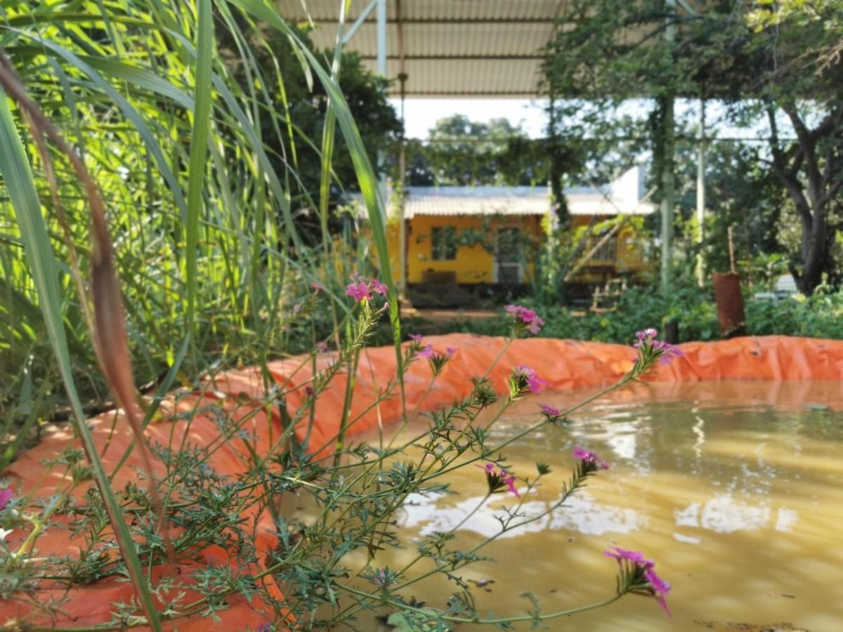 Hornbill Farm Resort Hyderabad Bagian luar foto