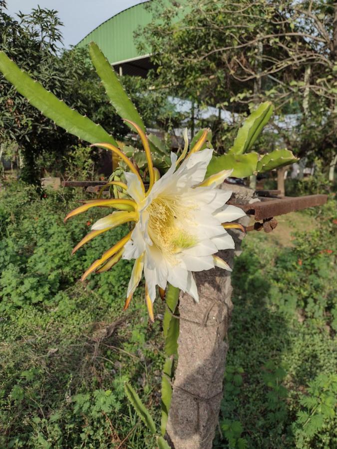 Hornbill Farm Resort Hyderabad Bagian luar foto